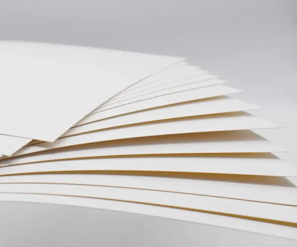 Solid Bleached Sulfate (SBS) vs Folding Box Board (FBB): What's the Difference in Packaging Paperboard?